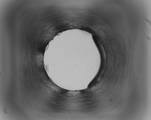 X0000096470480200802211155