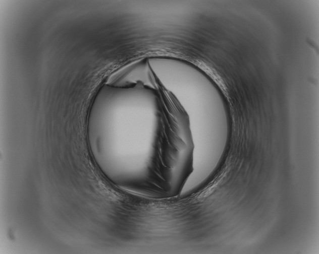 X0000096470481200802211154