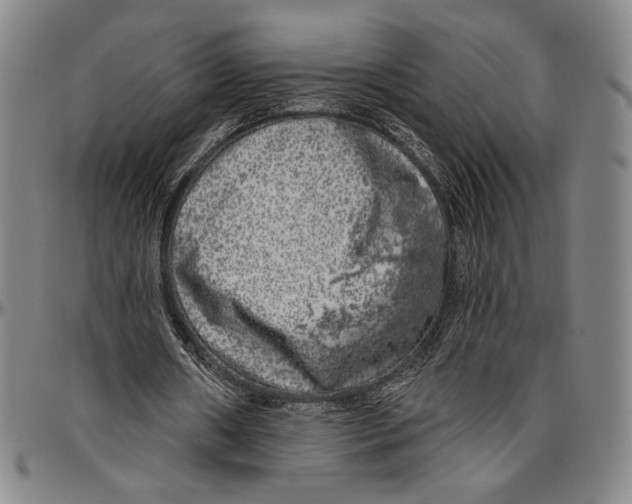 X0000096470482200802211154