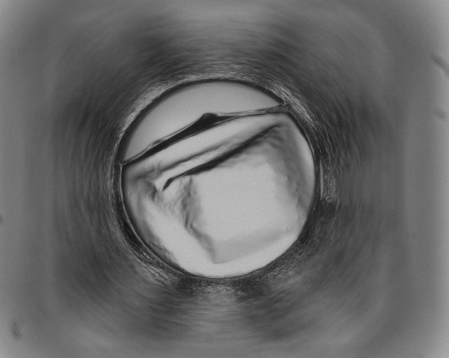 X0000096470483200802211154