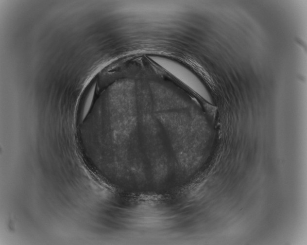 X0000096470484200802211154