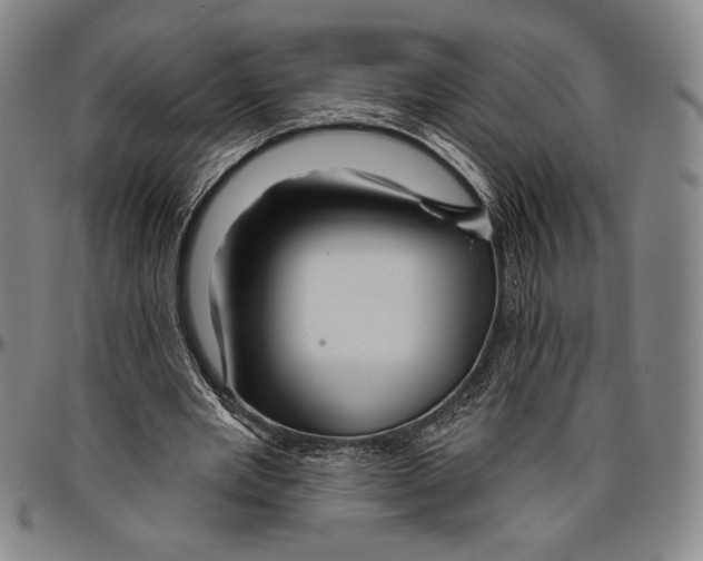 X0000096470485200802211154