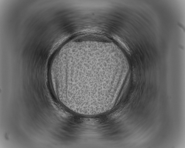 X0000096470486200802211154