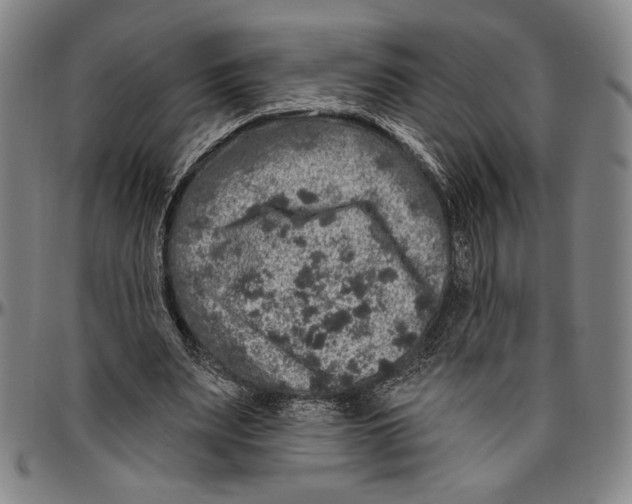 X0000096470487200802211154