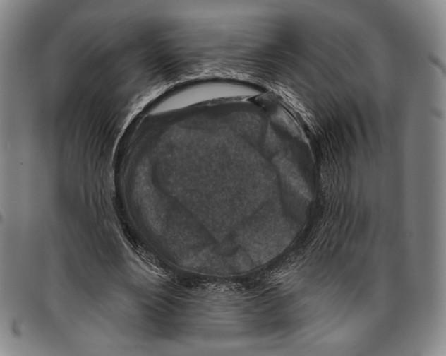 X0000096470488200802211154