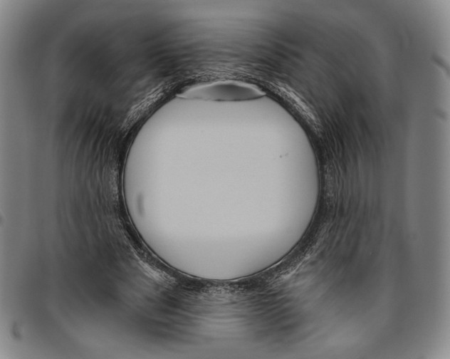 X0000096470489200802211154