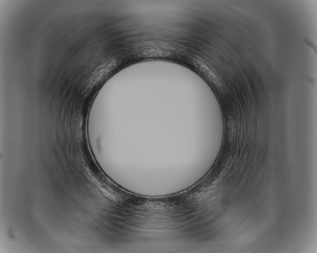 X0000096470490200802211154