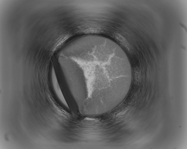 X0000096470491200802211154