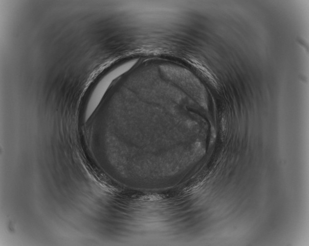 X0000096470492200802211154