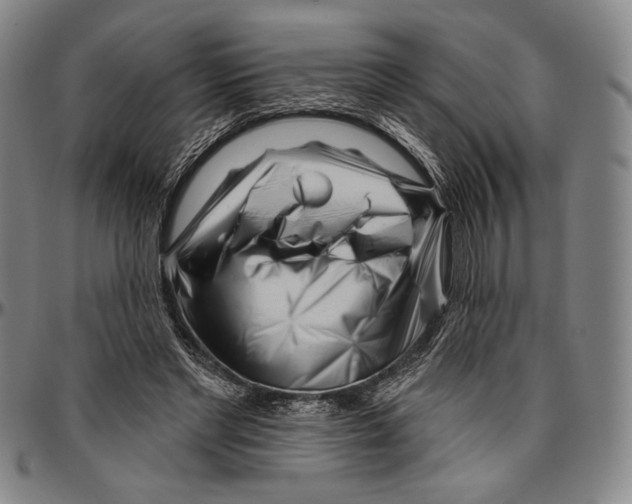 X0000096470493200802211154