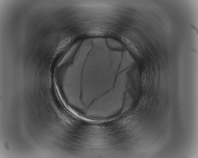 X0000096470494200802211154