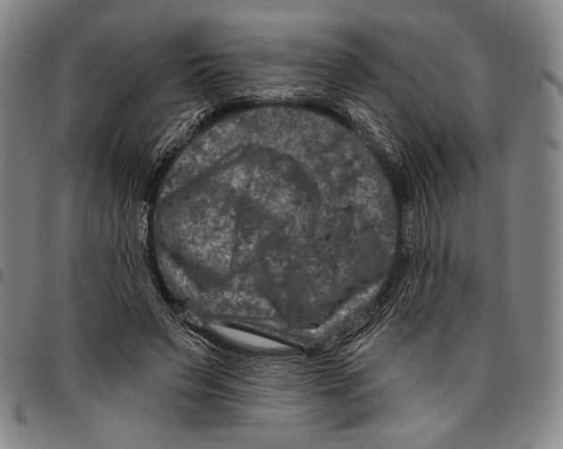 X0000096470495200802211154