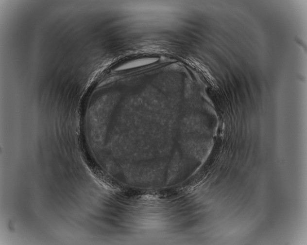 X0000096470496200802211154