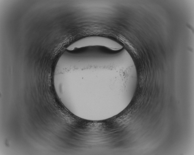 X0000096470497200802211154