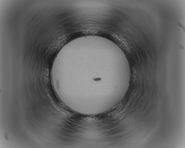 X0000096470498200802211154