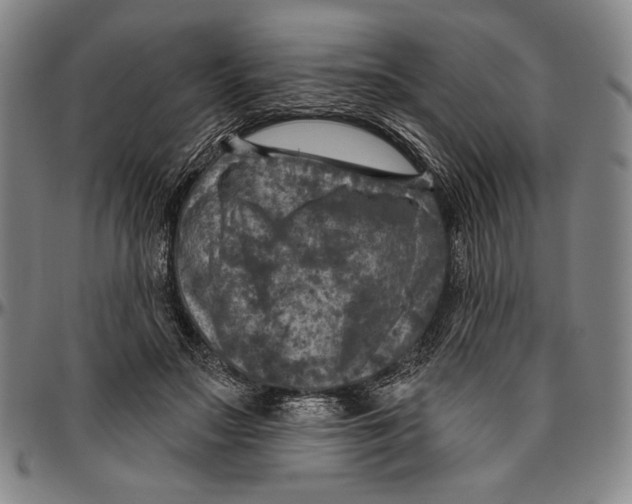 X0000096470499200802211154