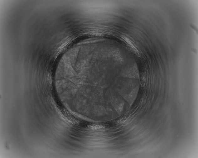 X0000096470500200802211154