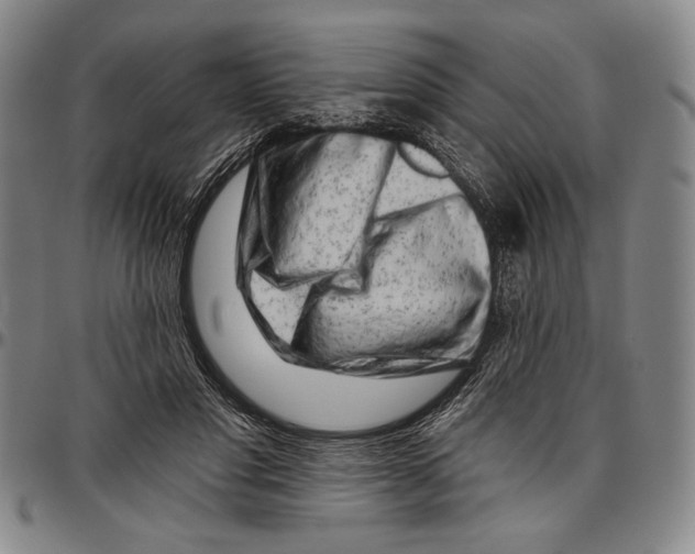 X0000096470501200802211154