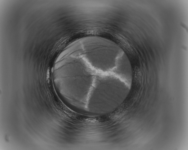 X0000096470502200802211154