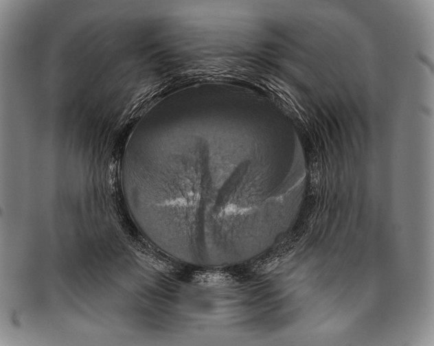 X0000096470503200802211154