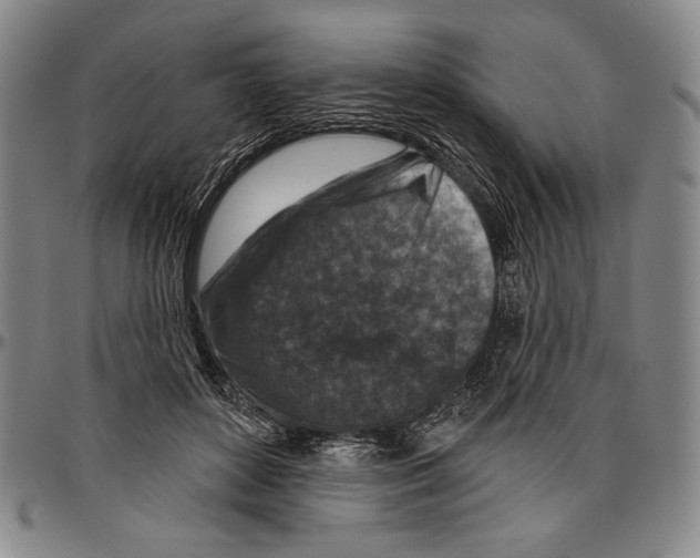 X0000096470504200802211154