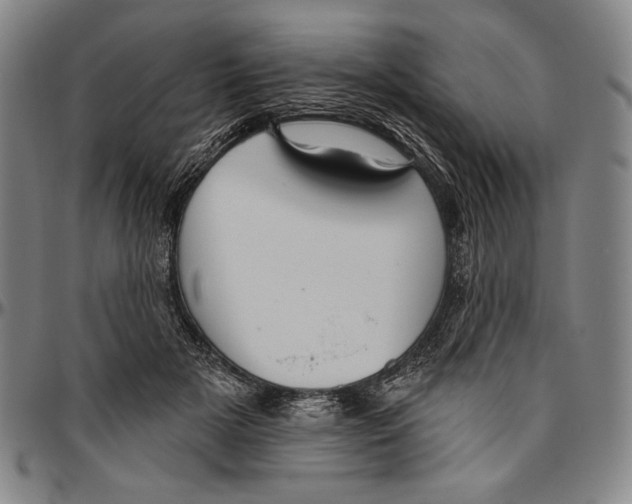 X0000096470505200802211154