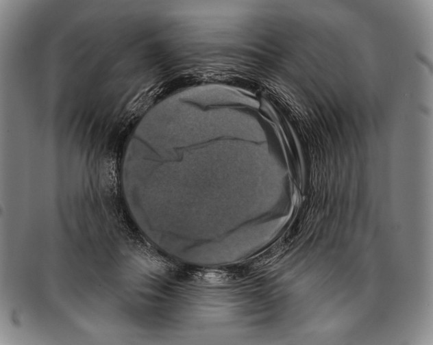 X0000096470506200802211154
