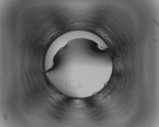 X0000096470509200802211154