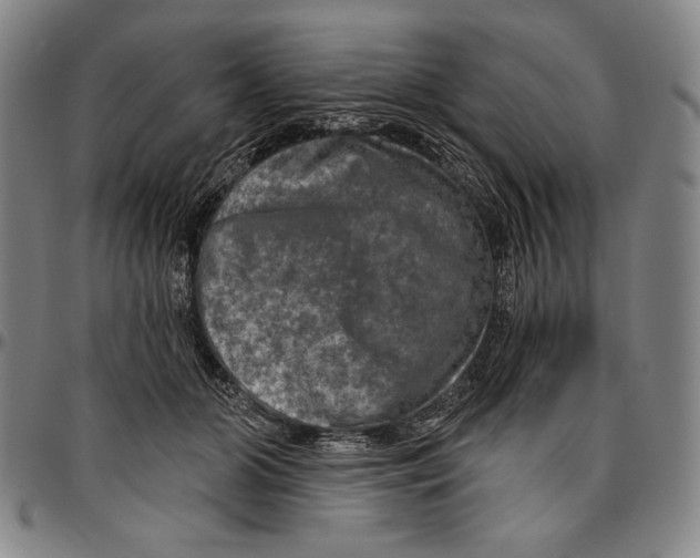 X0000096470510200802211154
