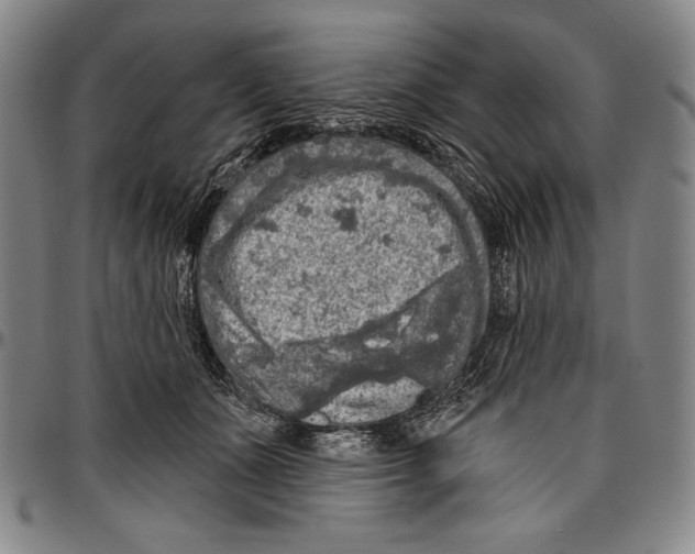 X0000096470511200802211154