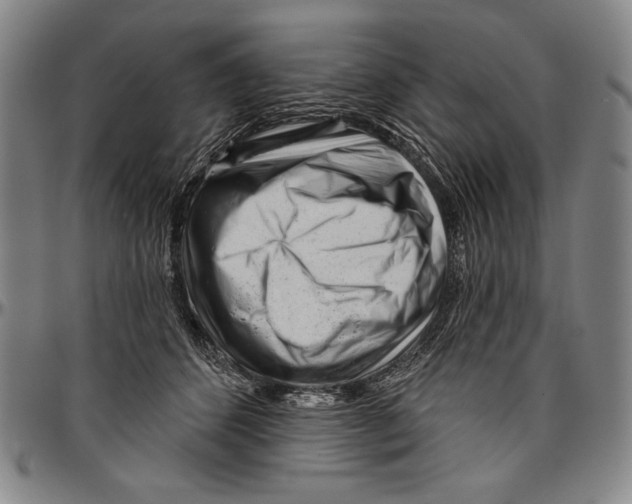X0000096470512200802211154