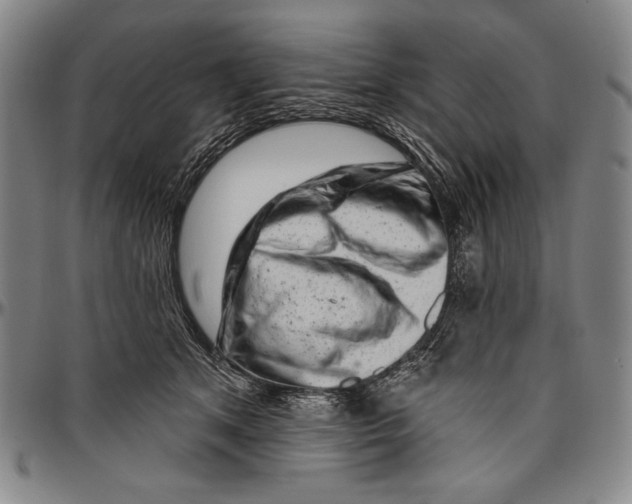X0000096470513200802211154