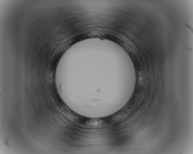 X0000096470514200802211154