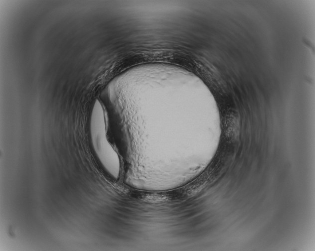 X0000096470515200802211154