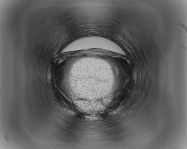 X0000096470516200802211154