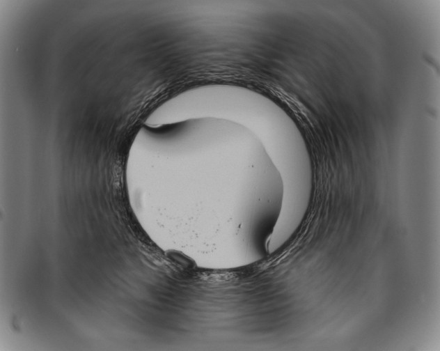 X0000096470517200802211154