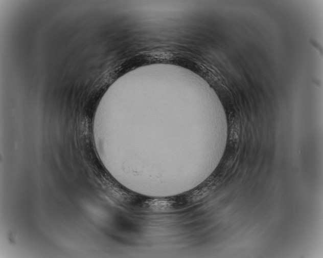 X0000096470518200802211154