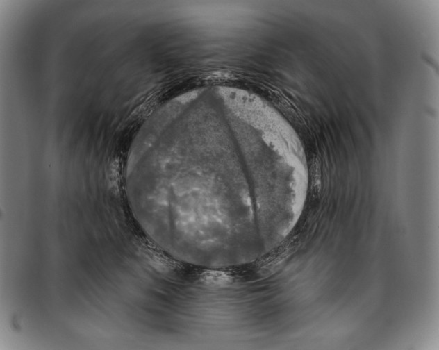X0000096470519200802211154