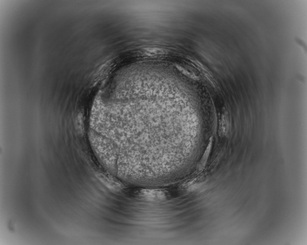 X0000096470520200802211154