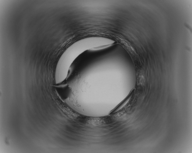 X0000096470521200802211154