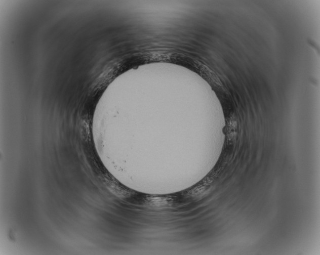 X0000096470522200802211154