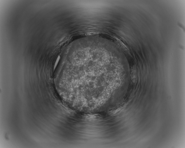 X0000096470523200802211153