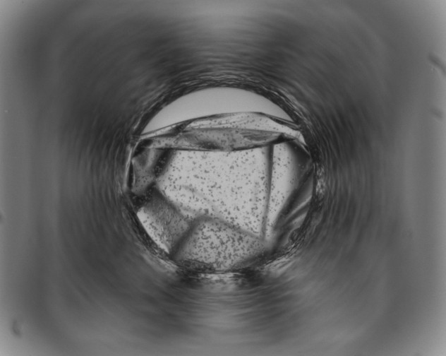 X0000096470524200802211153