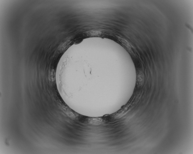 X0000096470525200802211153
