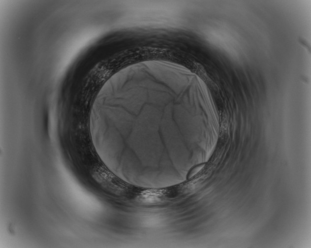 X0000096470526200802211153