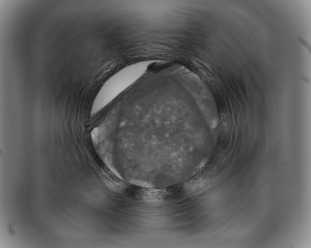 X0000096470527200802211153