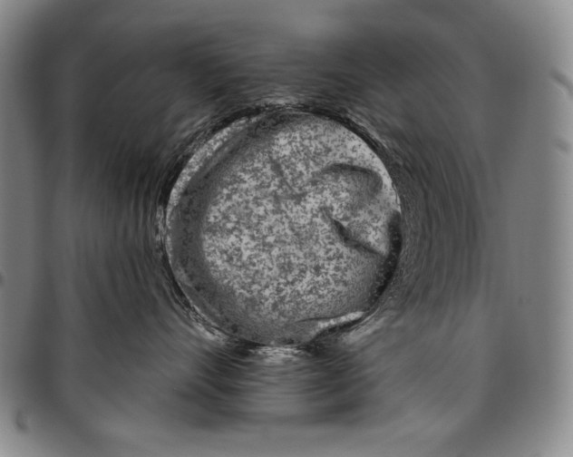 X0000096470528200802211153