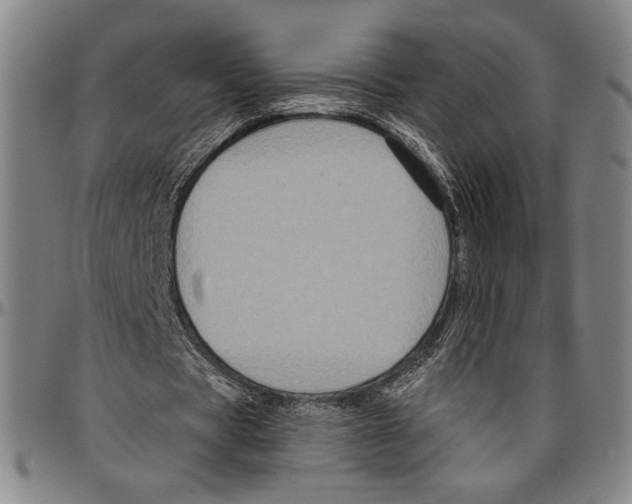 X0000096470529200802211153