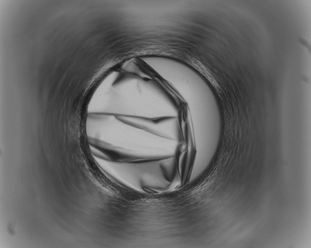 X0000096470530200802211153