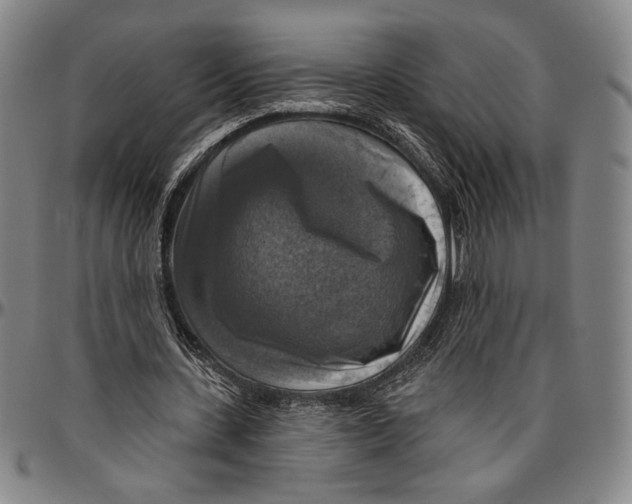 X0000096470531200802211153